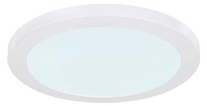 Globo 12379-24W - LED Плафониера LASSE LED/24W/230V