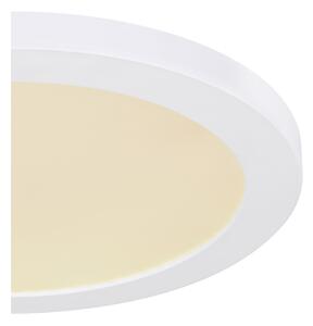 Globo 12379-24W - LED Плафониера LASSE LED/24W/230V