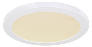 Globo 12379-24W - LED Плафониера LASSE LED/24W/230V