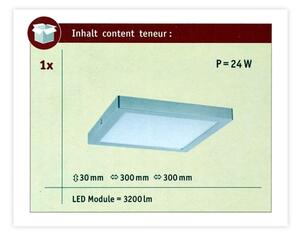 Paulmann 70982 - LED/22W Лампа за таван ABIA 230V