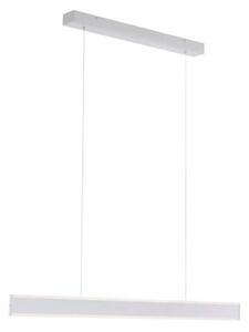 Paul Neuhaus 8363-55 - LED Димируем полилей със сензор ARINA LED/20W/230V