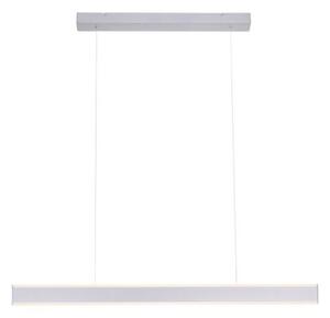 Paul Neuhaus 8363-55 - LED Димируем полилей със сензор ARINA LED/20W/230V