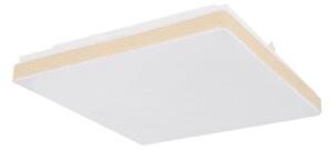 Globo 48296W - LED Лампа RAINA LED/12W/230V