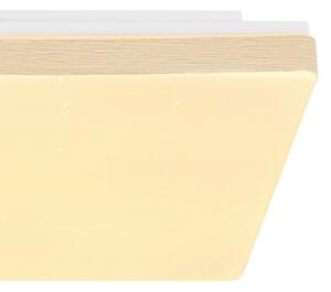 Globo 48296W - LED Лампа RAINA LED/12W/230V