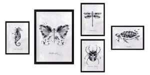 Картини в комплект от 5 бр. Butterfly - Wallity