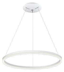 Palnas 62002132 - LED Полилей на въже DONA 800 LED/62W/230V