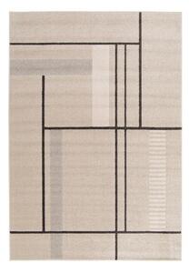 Бежов килим 120x170 cm Domus – Universal