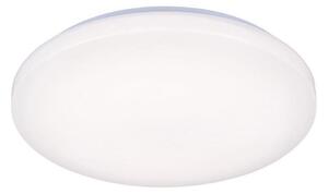 LED Лампа OPAL LED/50W/176-264V