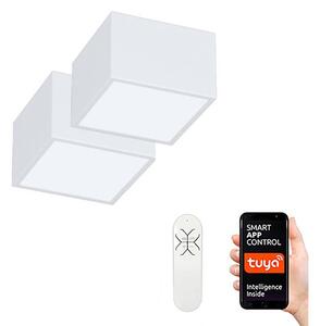 Immax Neo 07072L-15BD- К-кт 2x LED Димируема лампа CANTO 2xLED/12W/230V + д.у