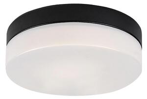 Rabalux 75025-LED Плафон за баня GAELO LED/15W/230V Ø 23 cm черен