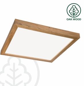 Brilagi - LED осветително тяло за баня WOODY FRAME LED/40W/230V 60x60 cm IP44 дъб