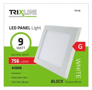 LED Лампа за таван LED/9W/230V 4200K