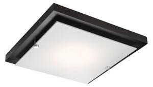 Плафон 1xE27/60W/230V за таванен монтаж