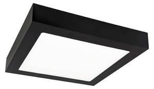 LED Лампа FENIX LED/12W/230V 3800K 17 cm