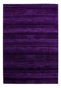Тъмнолилав килим 160x230 cm Plus – Ayyildiz Carpets