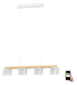 Eglo 900881 - LED RGBW Димируем пендел PORTICO-Z 4xLED/3,7W/230V