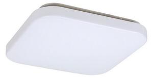 Rabalux 3340 - LED таванно осветително тяло ROB LED/20W/230V