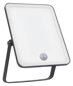 Ledvance - LED външен стенен прожектор със сензор FLOODLIGHT LED/30W/230V IP65