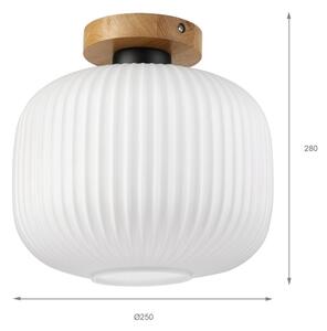 Таванно осветително тяло HARMA WOOD 1xE27/15W/230V дъб/бял Ø 25 см