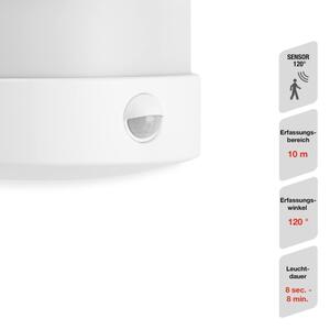 Telefunken 315506TF-LED Външен стенен осветител със сензор LED/12W/230V IP44