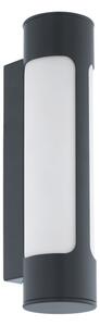Eglo 97119 - външна LED лампа за стена TONEGO 2xLED/6W/230V IP44