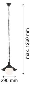 Argon 3285 - Екстериорна Полилей ERBA BIS 1xE27/60W/230V