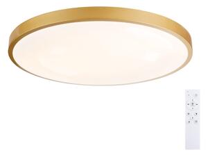 Brilagi - димируемо осветително тяло GLASS POOL DOUBLE LED/80W/230V 60 см златисто + дистанционно управление