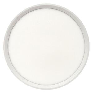 LED таванно осветително тяло LED/24W/230V 3000/4000/6500K Ø 30 см бяло
