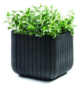 Пластмасова саксия за цветя Cube – Keter