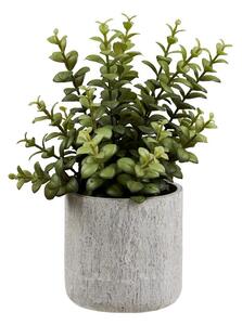 Изкуствено цвете (височина 33,5 cm) Succulent – House Nordic