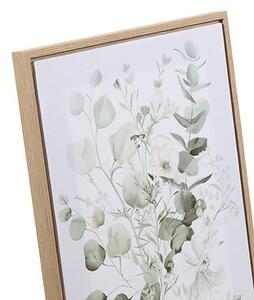 Картина atmosphera Eucaly, 30×40 cm, Асорти