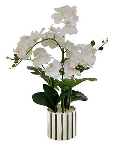 Изкуствено растение atmosphera Orchid Asia, 62 cm, Керамика