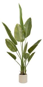 Изкуствено растение atmosphera Lora Banana, 200 cm