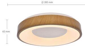 Brilagi - LED плафон DORIA LED/24W/230V