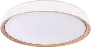 Димируемо LED таванно осветително тяло ILVI LED/45W/230V 2700–6500K Ø 50 см бял/бежов + дистанционно управление