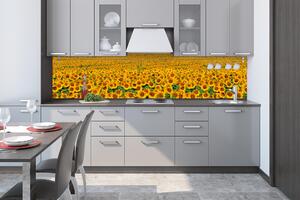 Фототапет за кухня - редове слънчогледи 260 x 60 см