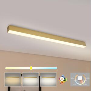 Brilagi - LED таванно осветително тяло за баня SLEEKLINE LED/40W/230V златисто IP44