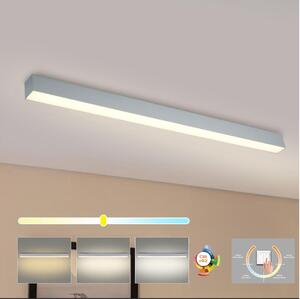 Brilagi - LED таванно осветително тяло за баня SLEEKLINE LED/40W/230V сребристо IP44