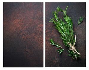 Капаци за печки от закалено стъкло в комплект от 2 броя 52x30 cm Rosemary - Allstar