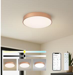 Brilagi-LED Димируемо осветително тяло POOL SMART LED/48W/230V 40 cm Wi-Fi Tuya бронзов + дистанционно управление