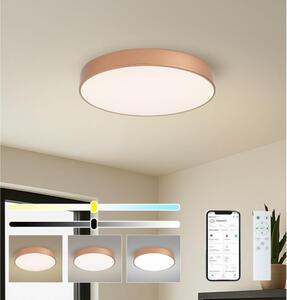 Brilagi-LED Димируемо осветително тяло POOL SMART LED/60W/230V 50 cm Wi-Fi Tuya бронзово + ДУ