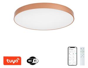 Brilagi-LED Димируемо осветително тяло POOL SMART LED/100W/230V 80 cm Wi-Fi Tuya бронзов+ с дистанционно управление