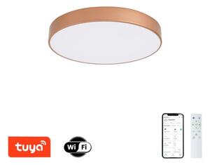 Brilagi-LED Димируемо осветително тяло POOL SMART LED/60W/230V 50 cm Wi-Fi Tuya бронзово + ДУ