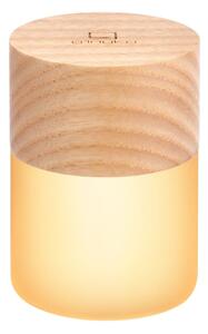 Светлинна декорация с USB в естествен цвят ø 4,5 cm Lemelia – Gingko