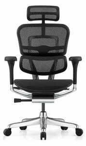 Работен стол Antares ERGOHUMAN ELITE 2, до 150кг, мрежа, алуминиева база, синхронен механизъм, коригиране на височината и дълбочината, заключване в позиция, ергономичен, черен