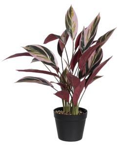 Изкуствено растение (височина 55 cm) Bird of Paradise – Ixia