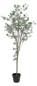 Изкуствен евкалипт (височина 180 cm) Eucalyptus – Ixia