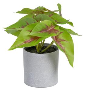 Изкуствено растение (височина 20 cm) Syngonium – Ixia