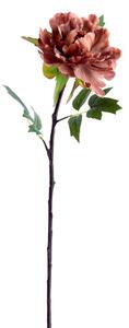 Изкуствено цвете (височина 65 cm) Peonia – Light & Living