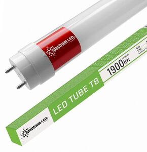 LED флуоресцентна тръба Neutral White 120CM T8 230V 17W WOJ+22304
